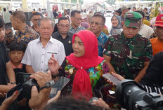 Dengan Ramainya Larang Melakukan Study Tour, Wali Kota Bandar Lampung Sampaikan Mengikuti Arahan Pusat