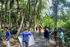 Sambut WSL Krui Pro 2024  Pemerintah Pekon-Masyarakat Gotongroyong di Jalan Wisata Tanjungsetia